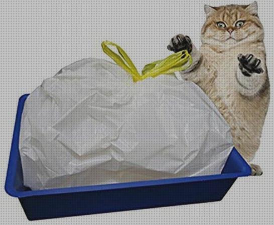 Review de bolsas para areneros gatos