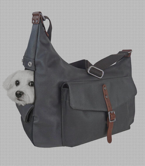 Análisis de los 25 mejores Bolsos Para Perros Bichon Maltes