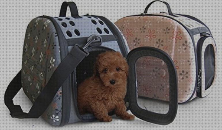 ¿Dónde poder comprar bolsos mascotas bolsos para transportar mascotas?