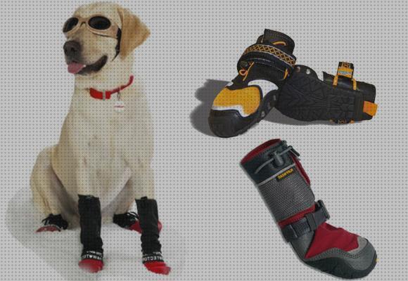 Review de botas para perro ruffwear