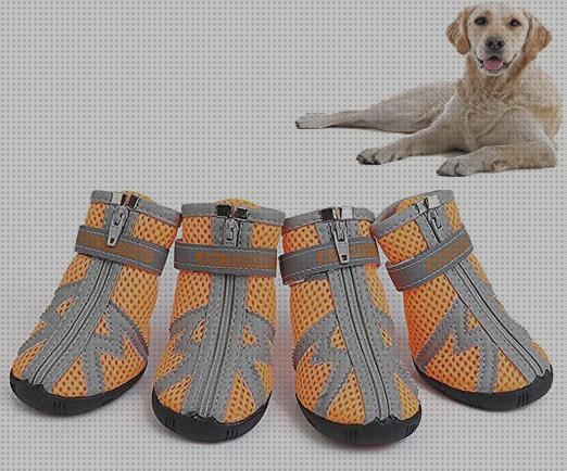 ¿Dónde poder comprar botas perros botas para perros?