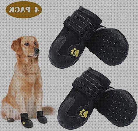 Las 16 Mejores accesorios para botas para perros en internet