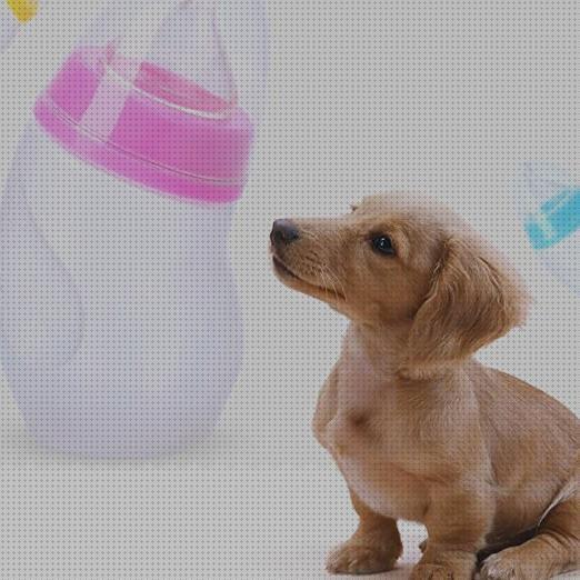 Las mejores botellas mascotas botella de lactancia para mascotas