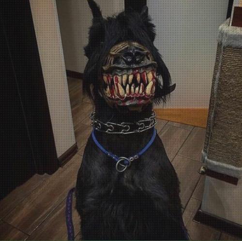 Las mejores marcas de bozal bozal terrorifico para perro