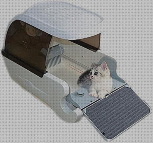 Review de caja automatica para gatos