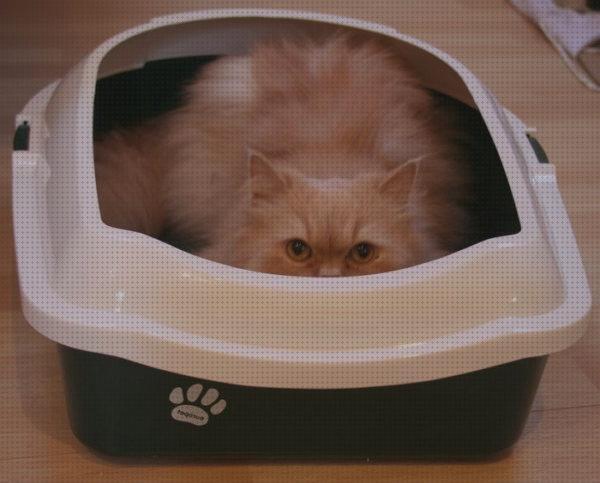 Las mejores cajas gatos caja de arena para gatos con tapa