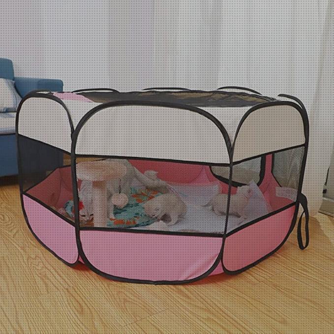 Review de caja de parto para gatos