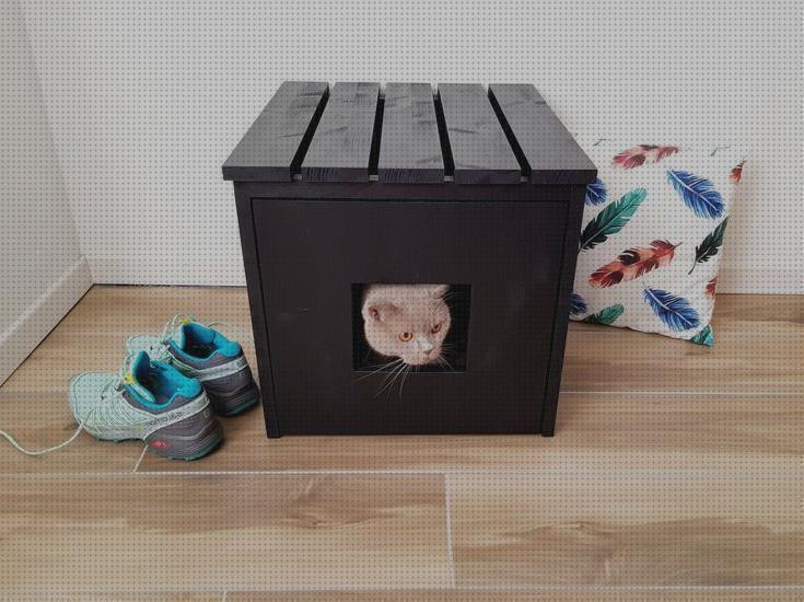 Las mejores cajas gatos caja higienica para gatos