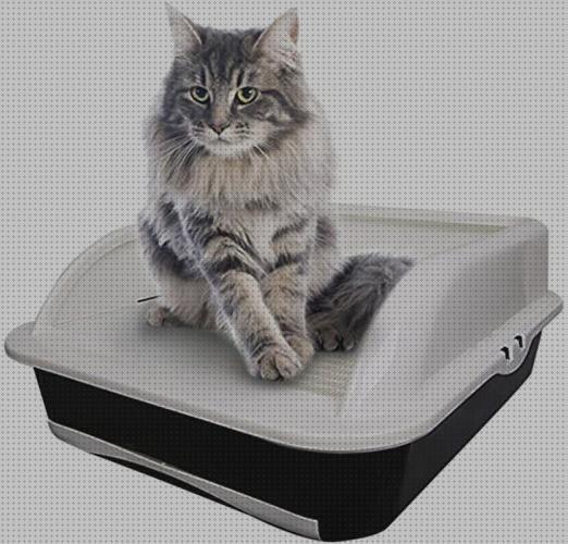 Review de caja higienica para gatos