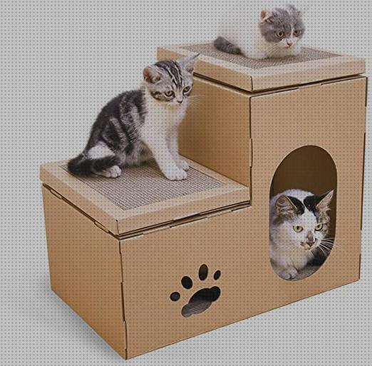 ¿Dónde poder comprar carton gatos caja para gatos de carton?