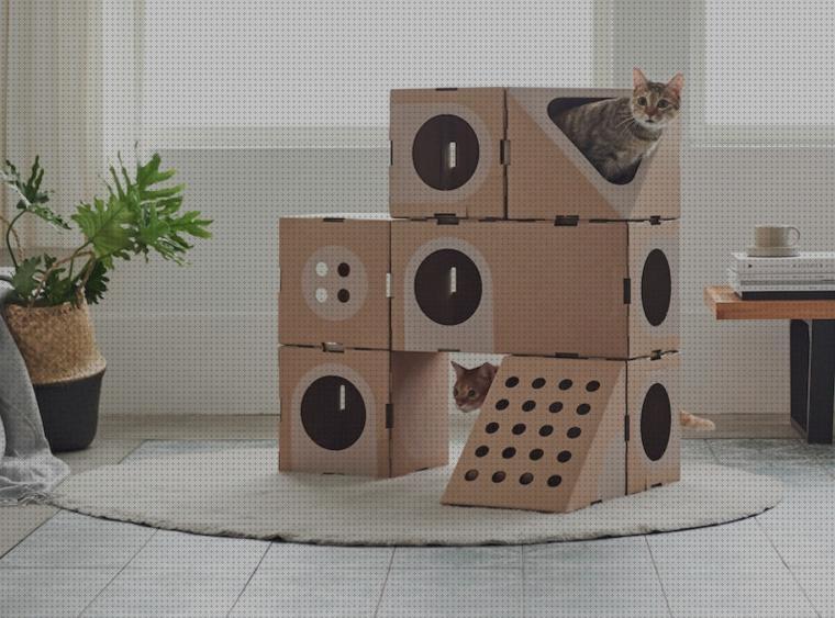 Las mejores carton gatos caja para gatos de carton
