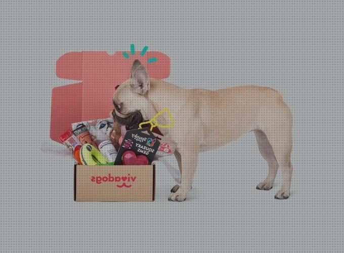 TOP 19 cajas para mascotas del mundo