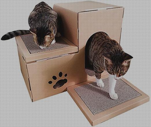 Las mejores cajas gatos caja rascador para gatos