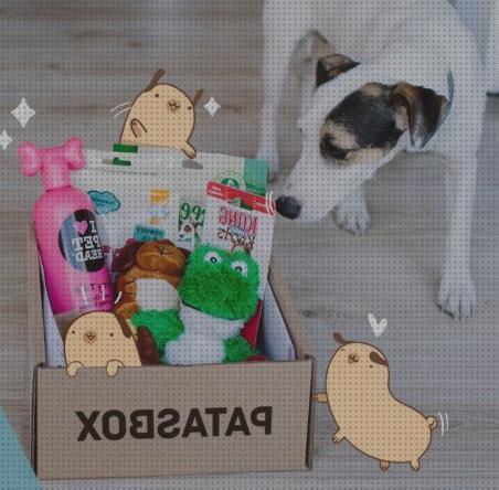 ¿Dónde poder comprar cajas mascotas cajas box para mascotas?