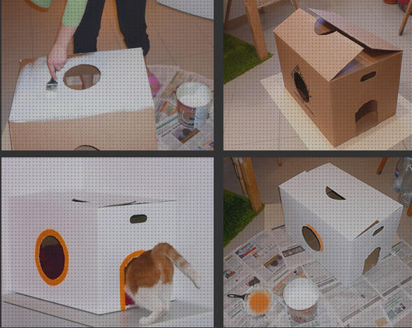Las mejores marcas de cajas gatos caja para gatos
