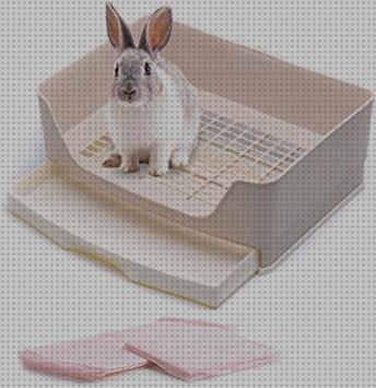 Análisis de las 27 mejores Cajas Grandes Para Conejos