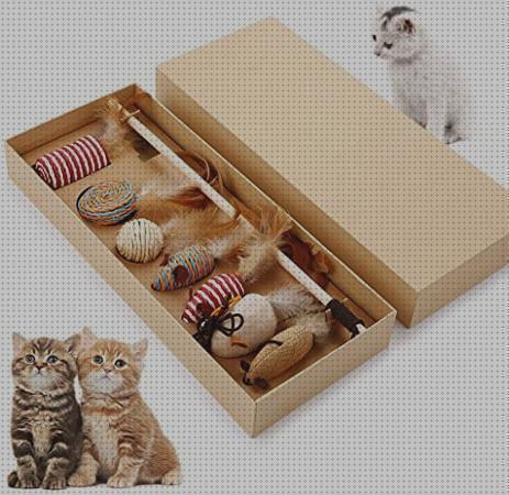 Las mejores marcas de cajas gatos cajas regalo para gatos