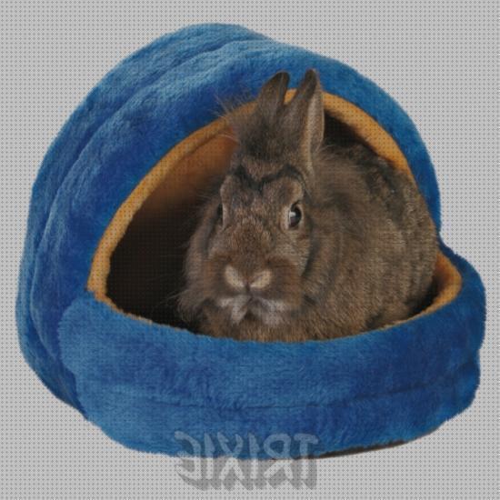 Opiniones de las 11 mejores Camas Cubiertas Para Conejos