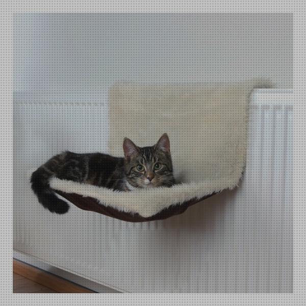 ¿Dónde poder comprar camas cama de gato para radiador?