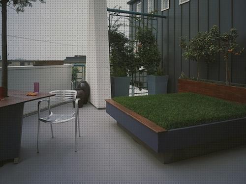 ¿Dónde poder comprar camas gatos cama de hierba para gatos?