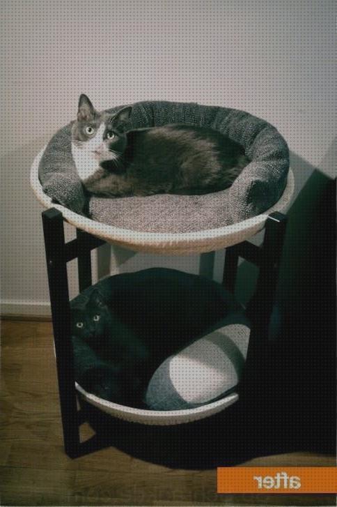 Review de cama doble para gatos