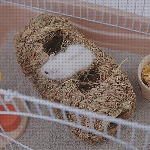 Las mejores camas conejos cama para conejos madera