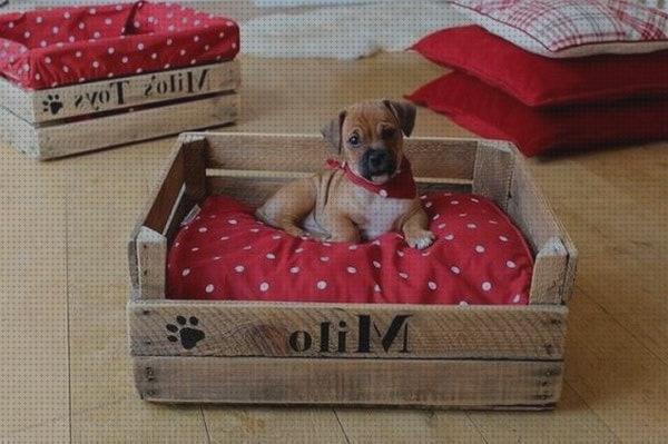 Las mejores cajas mascotas cama para mascotas hecho con cajas de madera
