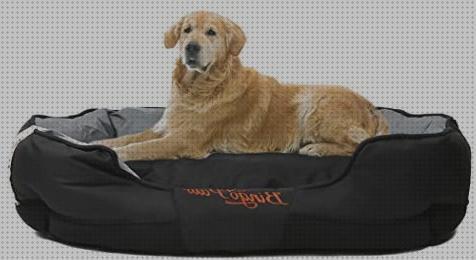 ¿Dónde poder comprar camas mascotas cama para sofa mascotas impermeable?