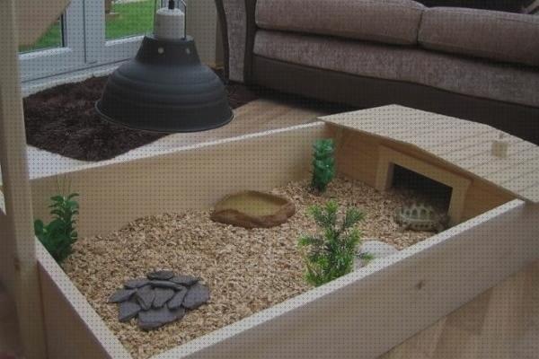 ¿Dónde poder comprar camas cama para tortuga de tierra?