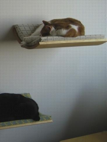 Las mejores camas cama pared gato