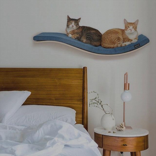 Análisis de las 17 mejores camas paredes gatos
