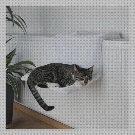 Review de cama radiador para gatos