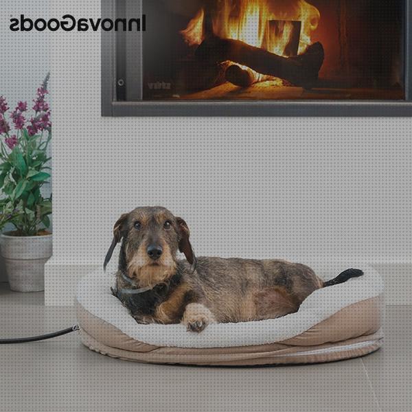 ¿Dónde poder comprar camas mascotas cama termica para mascotas?