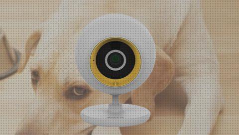 ¿Dónde poder comprar vigilar mascotas camara wifi para vigilar mascotas?