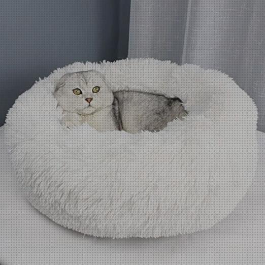 Review de camas calientes para gatos