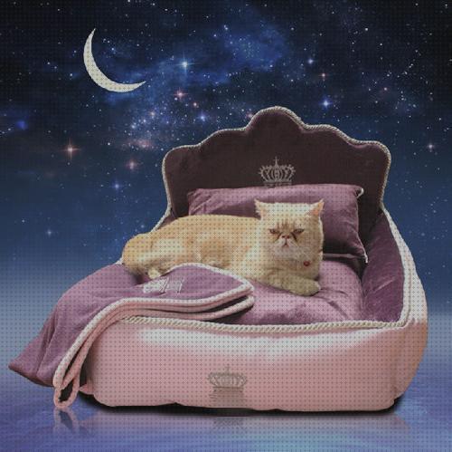 Las mejores camas gatos camas de lujo para gatos