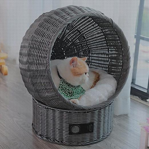 ¿Dónde poder comprar camas gatos camas frescas para gatos?