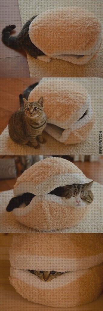 Las mejores marcas de camas gatos cama hamburguesa para gatos