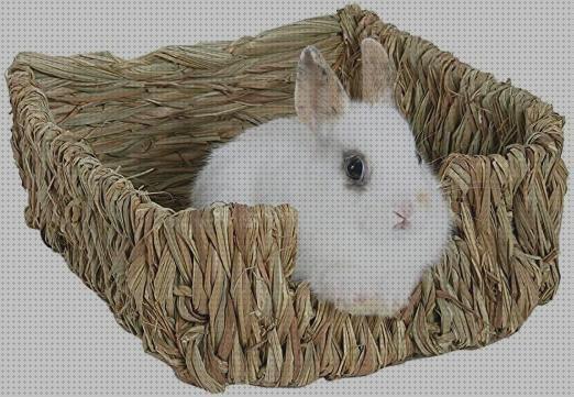Las mejores marcas de camas conejos cama natural para conejos