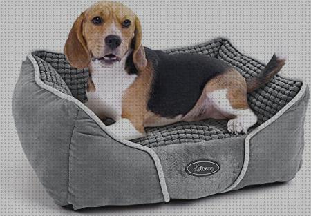 Las 27 Mejores camas para beagles del mundo