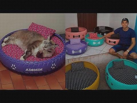 ¿Dónde poder comprar camas gatos camas para gatos con llantas?
