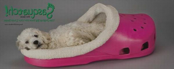 Review de camas para perros caniches toy