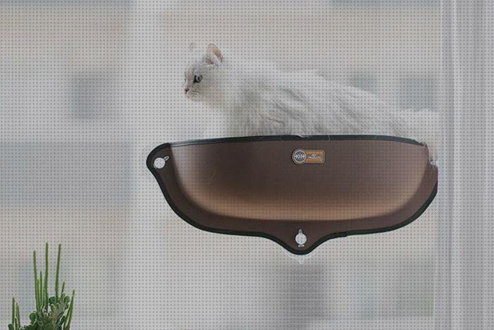 Las mejores marcas de camas gatos cama para ventana gatos
