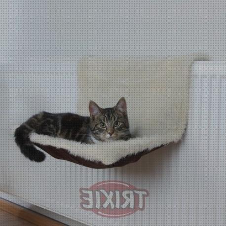 Las mejores marcas de camas gatos cama radiador para gatos
