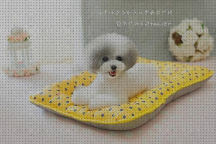 Las mejores marcas de camas mascotas cama refrescante para mascotas