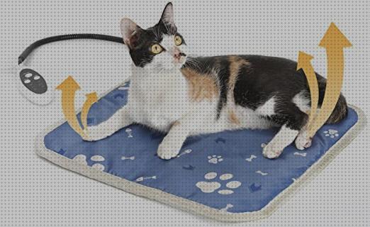 Las mejores camas gatos camas termicas para gatos