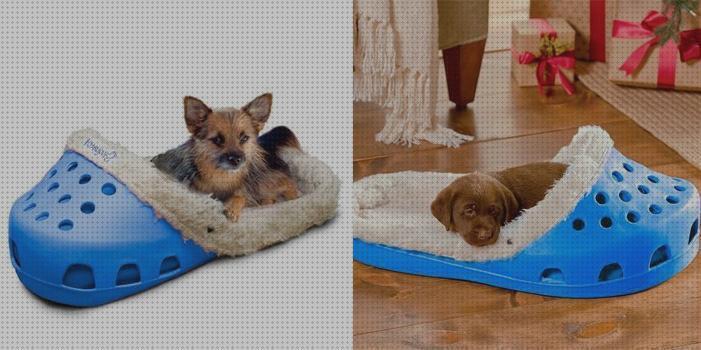 Las mejores marcas de camas mascotas cama zapatilla para mascotas