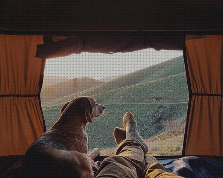 ¿Dónde poder comprar viajar mascotas camping para viajar con mascotas?