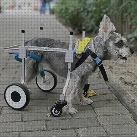 ¿Dónde poder comprar ruedas mascotas carrito de 4 ruedas para mascotas?