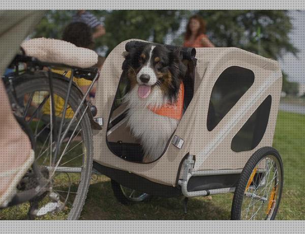 Las mejores marcas de carritos perros carritos de paseo para perros